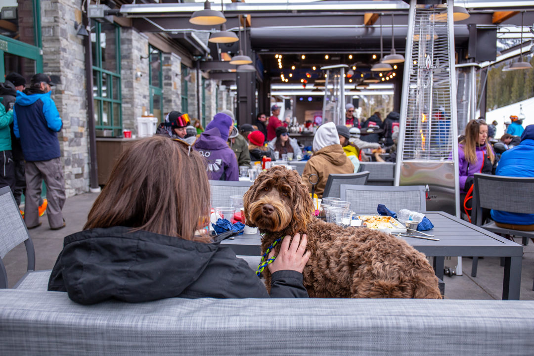A woman sits with her dog facing a restaurant full of people at Downhill Duke’s at Copper Mountain.
