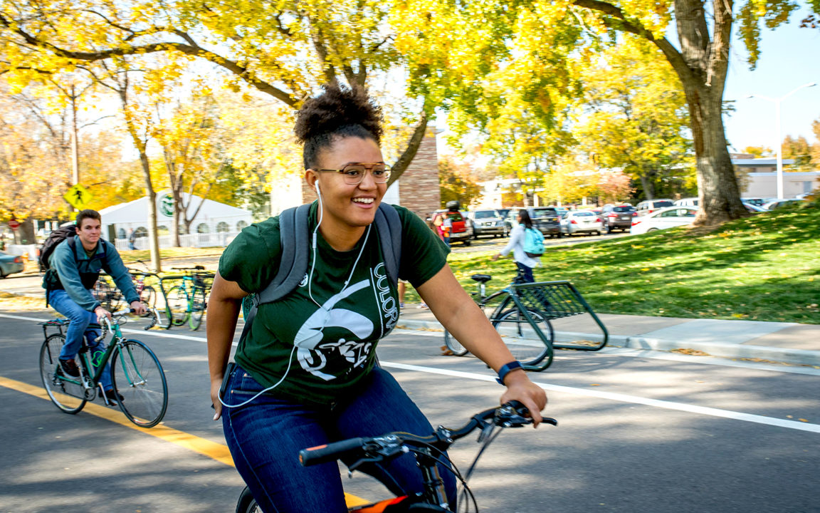 colorado state university