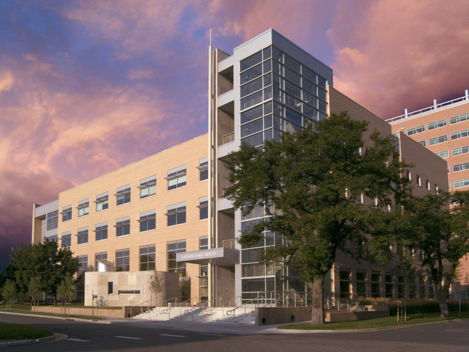 Children's Diabetes Foundation Paid Posts 5280