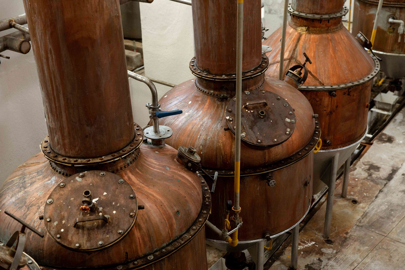 The Perfect Tequila for Any Occasion Paid Posts 5280