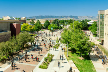 colorado state university