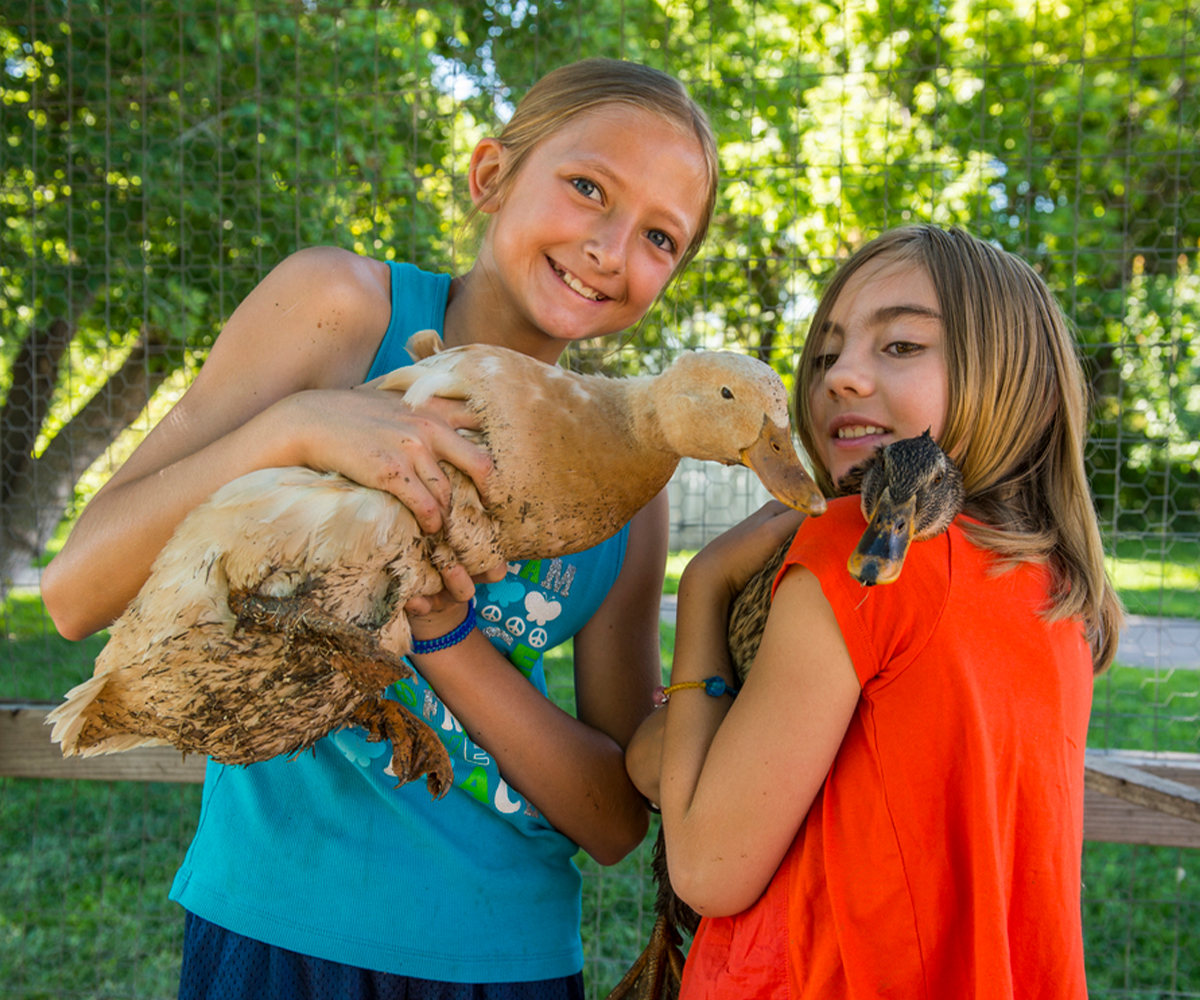 Farm Camps at Denver Botanic Gardens Chatfield Farms Paid Posts 5280